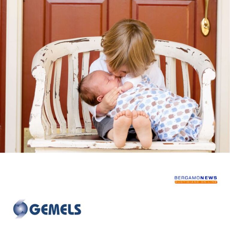 politiche Welfare di Gemels
