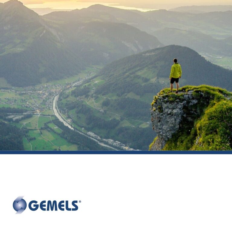 esg-report-gemels