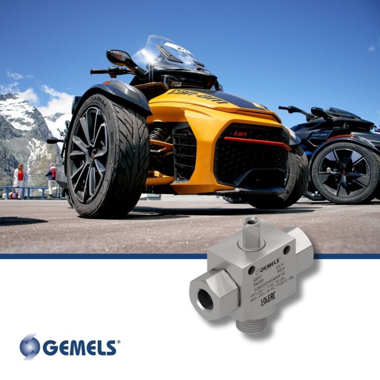 custom-valve-automotive-gemels
