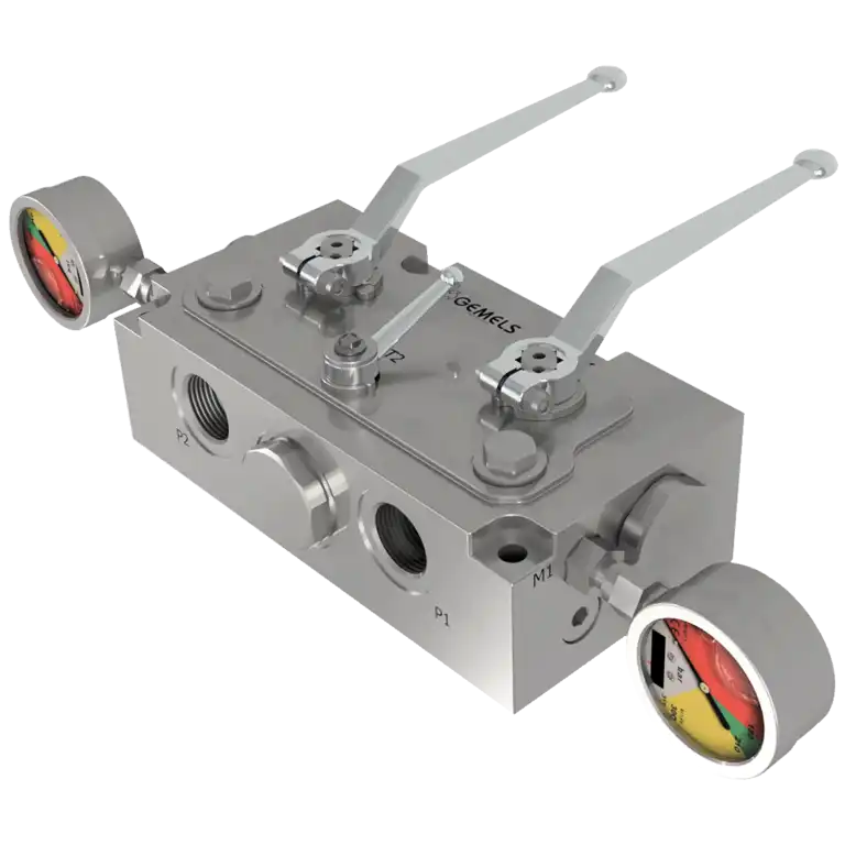 Valvola custom, modello Salhydro by Gemels